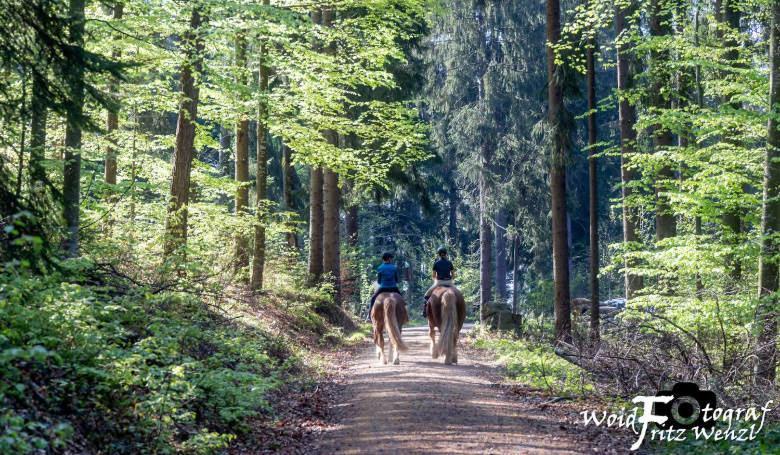 Scheune Anni グータッハ エクステリア 写真